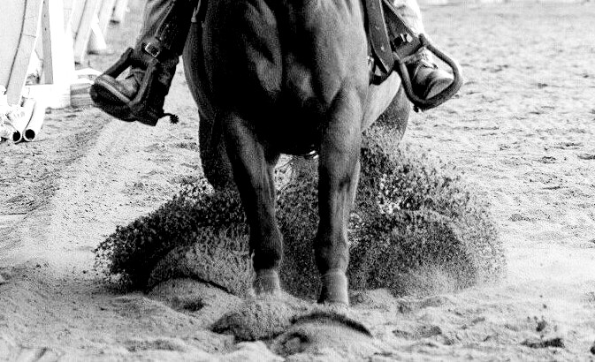 DSC_8839-Web-e1745901835808(1) reining horse performing a sliding stop creating a dirt splash in the sand